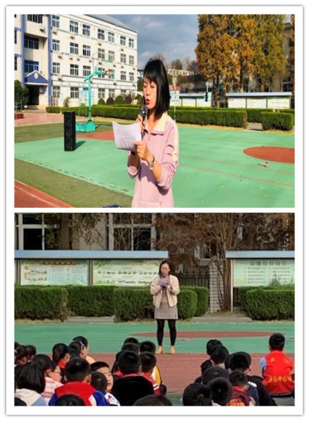 图片包含 草, 运动, 体育, 户外&#xA;&#xA;描述已自动生成