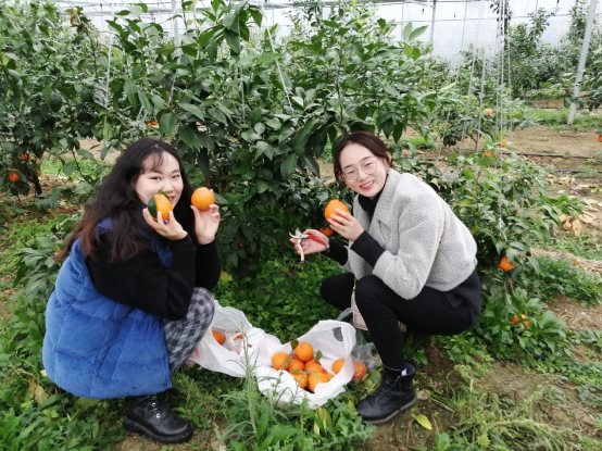 图片包含 户外, 草, 人, 小孩&#xA;&#xA;描述已自动生成