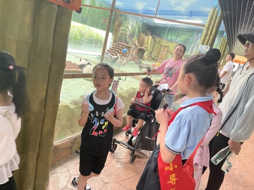 https://img.xiumi.us/xmi/ua/148BH/i/b14399a8f4db432e0a1ac1ab193b6dcc-sz_544310.jpg