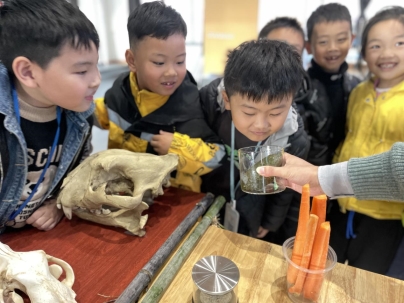 32109b40-947a-4137-a70d-cd4cead5f6a5